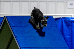 2023-June-AADTC-Trial-1097