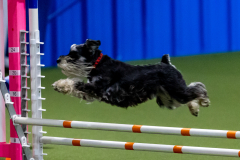 2023-June-AADTC-Trial-1099