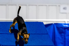 2023-June-AADTC-Trial-1100