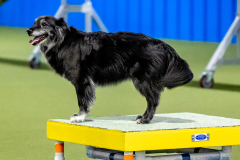 2023-June-AADTC-Trial-1104