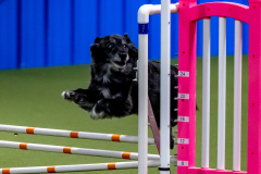 2023-June-AADTC-Trial-1105