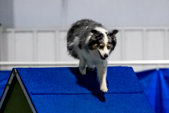 2023-June-AADTC-Trial-1106