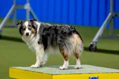 2023-June-AADTC-Trial-1109