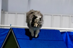 2023-June-AADTC-Trial-1111