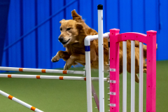 2023-June-AADTC-Trial-1116