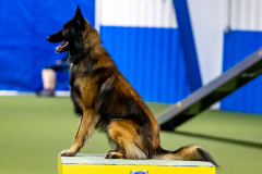 2023-June-AADTC-Trial-1118