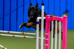 2023-June-AADTC-Trial-1120