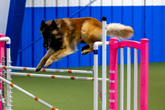 2023-June-AADTC-Trial-1125