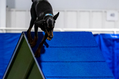 2023-June-AADTC-Trial-1126