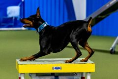 2023-June-AADTC-Trial-1127