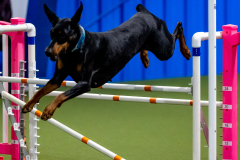 2023-June-AADTC-Trial-1129