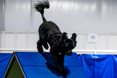 2023-June-AADTC-Trial-1130