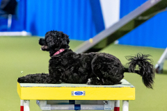 2023-June-AADTC-Trial-1131