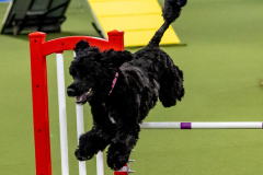 2023-June-AADTC-Trial-1132