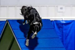 2023-June-AADTC-Trial-1134