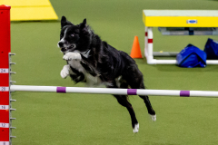 2023-June-AADTC-Trial-1136