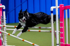 2023-June-AADTC-Trial-1137