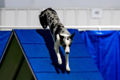 2023-June-AADTC-Trial-1138