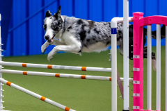 2023-June-AADTC-Trial-1142