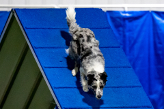 2023-June-AADTC-Trial-1143