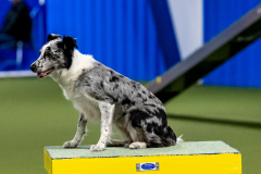 2023-June-AADTC-Trial-1144