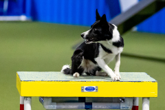 2023-June-AADTC-Trial-1147