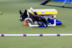 2023-June-AADTC-Trial-1149