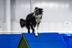 2023-June-AADTC-Trial-1150