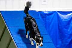 2023-June-AADTC-Trial-1151