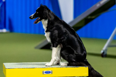 2023-June-AADTC-Trial-1152