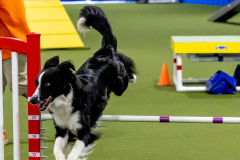 2023-June-AADTC-Trial-1153