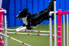 2023-June-AADTC-Trial-1154