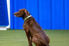 2023-June-AADTC-Trial-1155