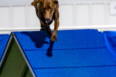 2023-June-AADTC-Trial-1156