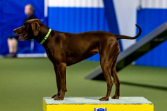 2023-June-AADTC-Trial-1157