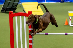 2023-June-AADTC-Trial-1158