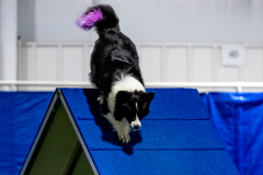 2023-June-AADTC-Trial-1159