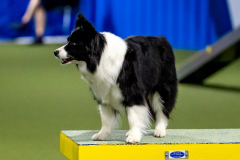 2023-June-AADTC-Trial-1160