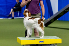 2023-June-AADTC-Trial-1165