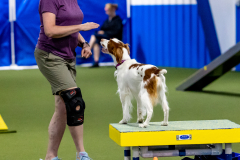 2023-June-AADTC-Trial-1166