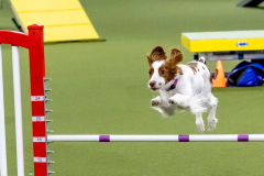 2023-June-AADTC-Trial-1167