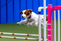 2023-June-AADTC-Trial-1168