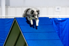 2023-June-AADTC-Trial-1169