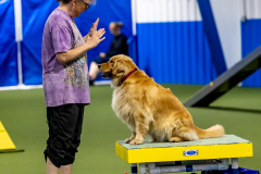 2023-June-AADTC-Trial-1173