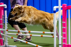 2023-June-AADTC-Trial-1176