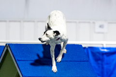 2023-June-AADTC-Trial-1177