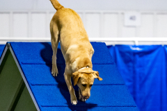 2023-June-AADTC-Trial-1181