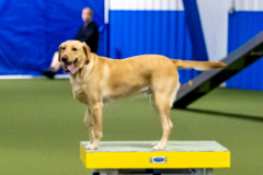 2023-June-AADTC-Trial-1183