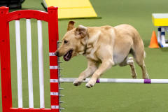 2023-June-AADTC-Trial-1184