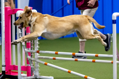 2023-June-AADTC-Trial-1185